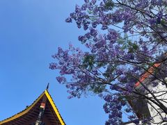-西昌邛海湿地