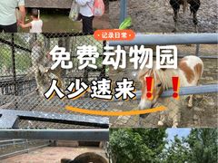 -长白岛森林公园