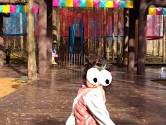 -黄海国家森林公园