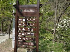-金龙寺国家森林公园