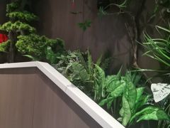 -纪林菜馆·博山菜老字号(华光路店)