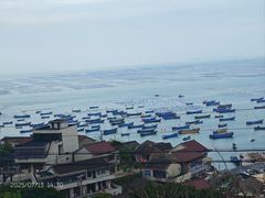-枸杞岛