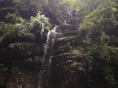 景点-碧峰峡风景区