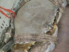 -龙海鲜螃蟹王(宏茂桥店)