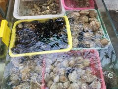 水产区-阿弟特色海鲜餐厅·大排档(平潭店)