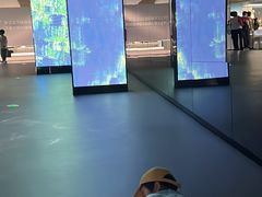 -中国湿地博物馆