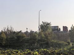 -合肥滨湖国家森林公园