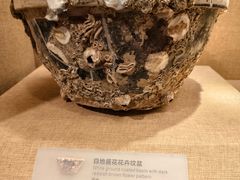 -烟台市博物馆