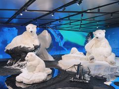 -肯德基(汤逊湖店)