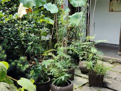 -院子餐厅·大锅菜·老杭帮(桥西直街店)