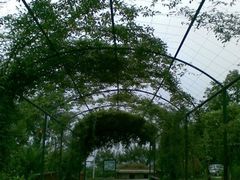 QQ图片20140412115908-香山鹭岛