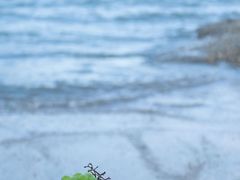 -宁波松兰山滨海旅游度假区