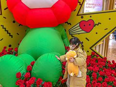 -武汉光谷K11