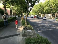 -新江湾城公园