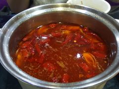 -蒙星月涮肚火锅城(宏运家园店)