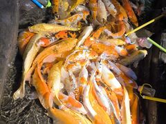 -海合安青岛极地海洋公园