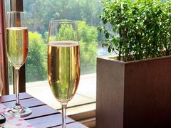 -TOMATITO(无限极荟店)