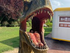 -南京银杏湖乐园