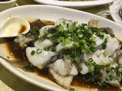 葱油淋罗非鱼-原汁原味农家菜·经典粤菜(江燕南路店)