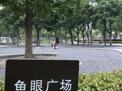 -南翔镇银翔湖公园