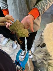 -酷嗒动物文化乐园(cutezoo西溪乐天城店)