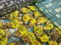 -天下春花园酒店(大东店)