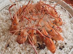 -农厨好味·温泉鹅·农家菜