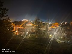 -大兴滨河森林公园