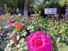 -睦南公园