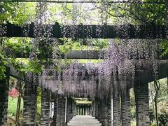 -龙寺生态园