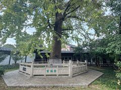 -常熟方塔园