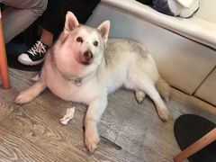 景观位-小时光咖啡馆(北锣鼓巷店)