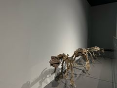 -大连自然博物馆