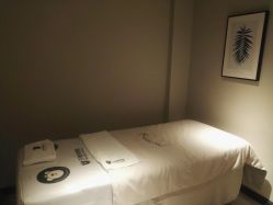 -三只熊皮肤管理中心旗舰店