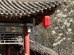 -碑林公园