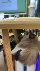 -Sugar苏格婚礼策划工作室