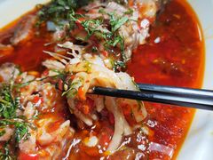 -老字号怡玺·藿香雅鱼(20年雅安店)