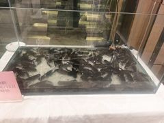 -阿胖龙虾小海鲜(宁国南路总店)