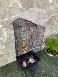 -阅年轻·AI家庭健康体质调理
