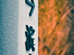 -光明港公园