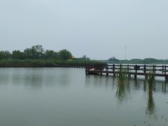 -西青郊野公园