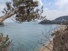 -棒棰岛宾馆景区