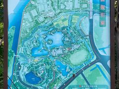 -王借岗森林公园