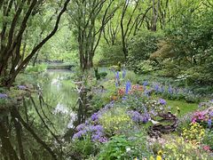 -上海共青森林公园