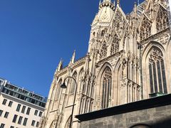 -斯蒂芬主教座堂(Stephansdom)