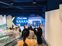 -盒马X会员店(上海森兰商都店)