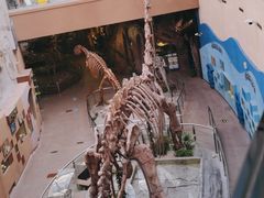 -陕西自然博物馆