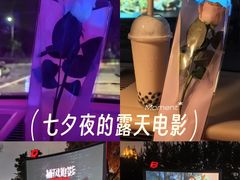 -枫花园汽车电影院(朝阳公园店)