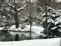 -北海道厅旧本厅舍(旧本庁舎)