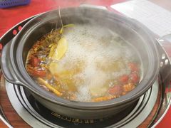 -花苑美食横琴生蚝火锅(拱北粤华路店)